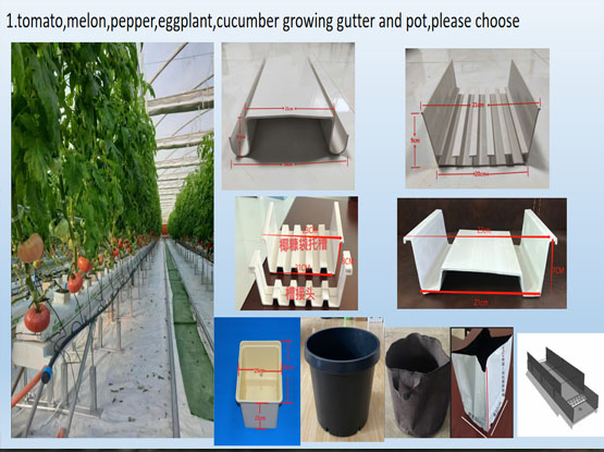tomato growing gutter channel pot hydroponic system choose