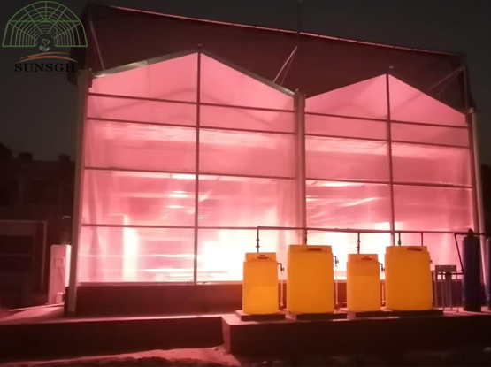 Greenhouse for Laboratory project with growing lamp